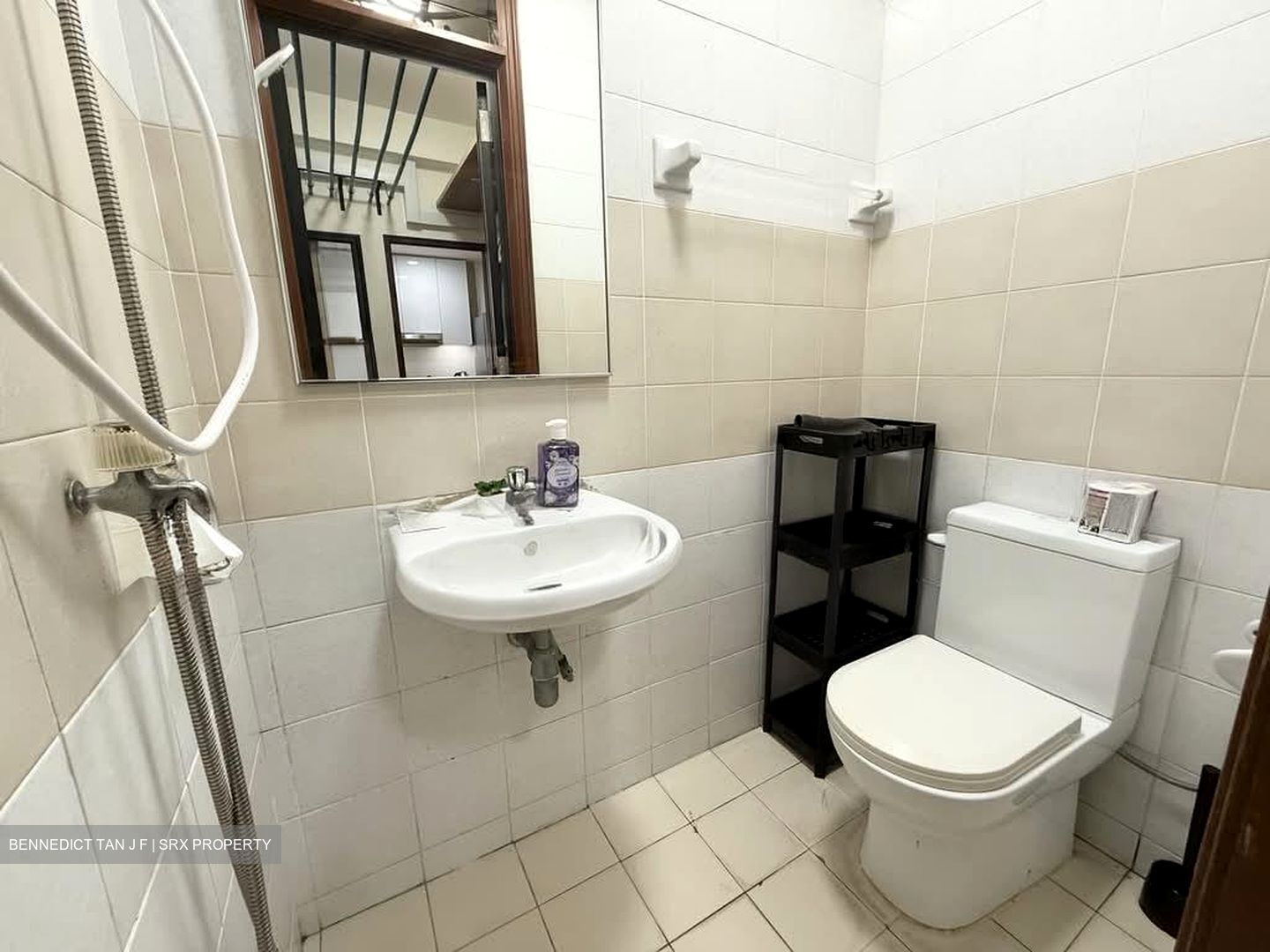 Dover Parkview (D5), Condominium #565451151